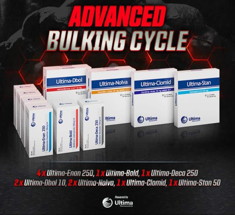Advanced Steroid Bulking Cycle