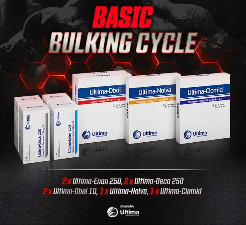 Basic Steroid Bulking Cycle