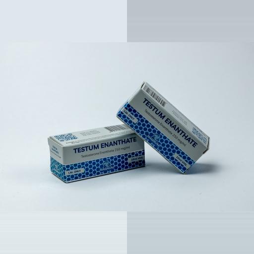 Testum Enanthate 250